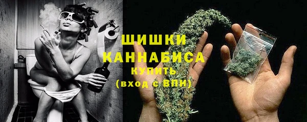 гидра Мегион
