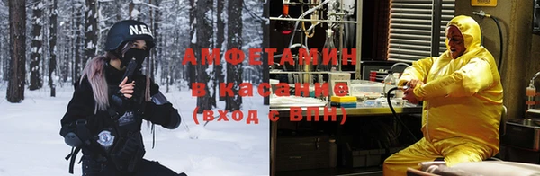 сатива Медвежьегорск